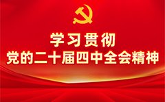 雷泽体育app